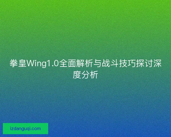 拳皇Wing1.0全面解析与战斗技巧探讨深度分析